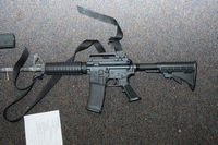 Bushmaster.jpg