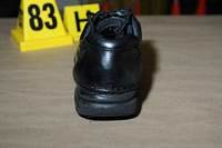 Shoe1.jpg