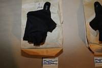 Gloves.jpg