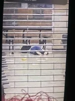 Suicide1.webp
