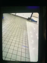 Suicide2.webp