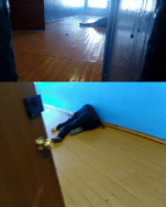 1000120628.png 1000120628.png