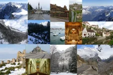 collage1.webp
