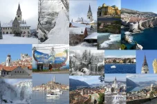 collage5.webp