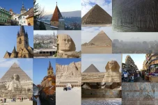 collage6.webp
