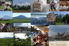 collage11.webp