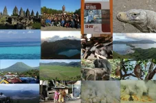 collage12.webp