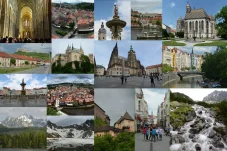 collage13.webp