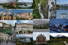 collage15.webp
