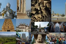 collage19.webp