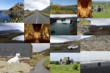 collage20.webp